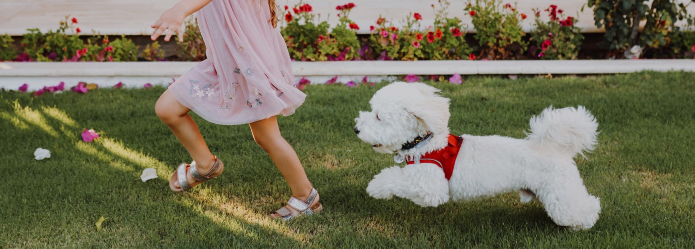 DogWatch of AB, Calgary, AB | Outdoor Hidden Dog Fences Slider Image